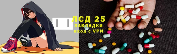 прущие грибы Абинск