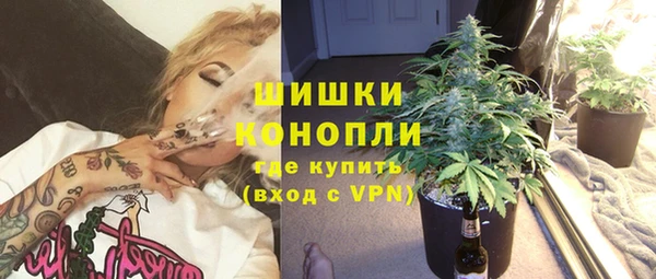 метадон Алексин