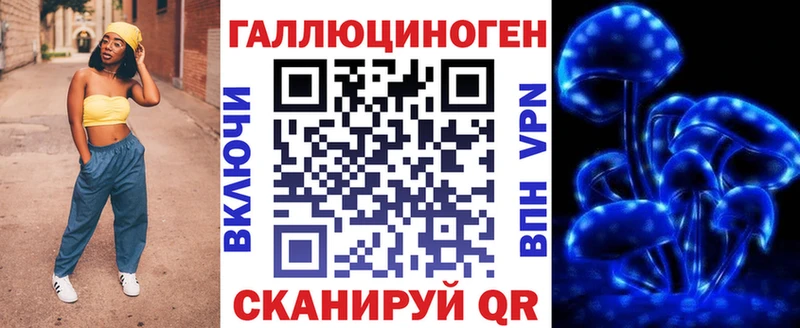 как найти наркотики  Королёв  Галлюциногенные грибы GOLDEN TEACHER 